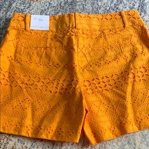 LoFt NWT Riviera shorts